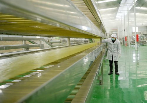 贵州岑巩 电力有保障 特色食品加工忙