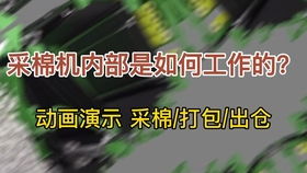 棉花在纺纱厂如何加工处理成细丝
