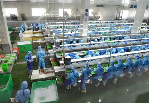 乘风破浪 阳江渔业产业驶向高质量发展新航程