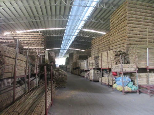怀集这两个基地荣获 肇庆市巾帼创业示范基地 称号