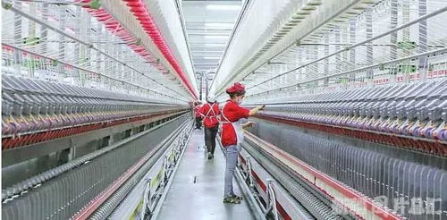 脱贫有底气,增收有希望 新疆扎实推进就业扶贫