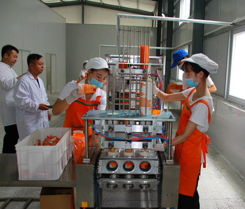 镇安万吨农产品深加工投产 带动万名群众脱贫致富