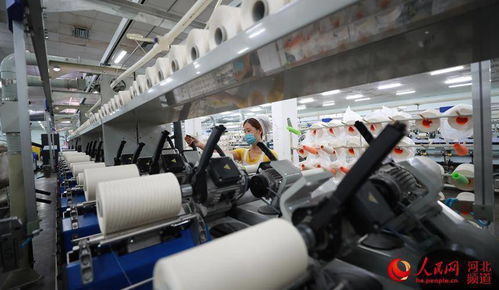 河北东光 科技赋能 高质量产品抢占国际市场