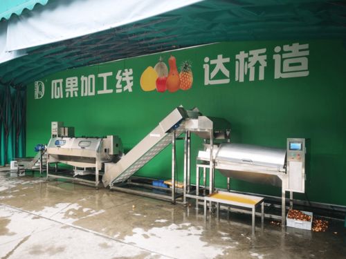 自主创新打破壁垒 达桥智造 走出国门
