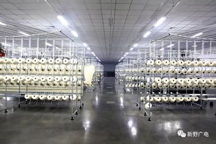 上马染整项目,打通全产业链 新野纺织服装产业再升级