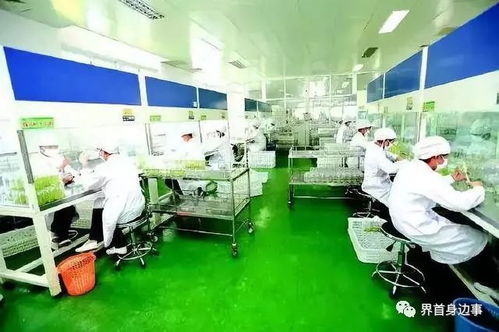 好消息 界首2个乡镇入选中央重点名单,将被重点发展