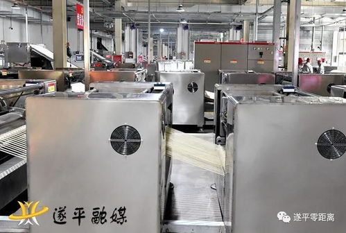 山东省潍坊市考察团来遂平县考察农产品加工业建设情况