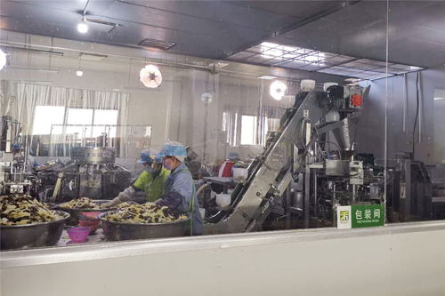 农行云南省分行发放近百亿元助力企业复工复产