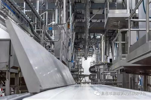 重点项目巡礼之山东雅拉生态食品产业园 生产连续化 加工专业化 销售高端化 布局产业化再创新高