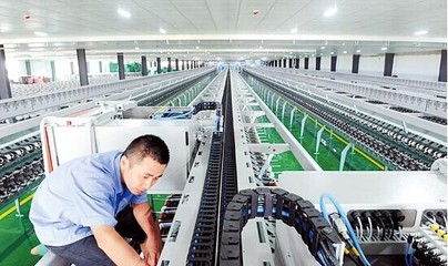 广西钦州保税港区 百亿产业蓄势“起飞”，印染加工热潮涌动