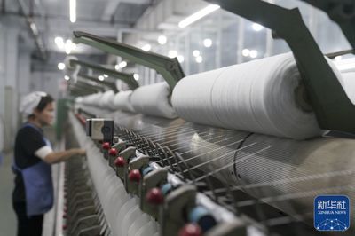 河北清河 羊绒之都产销两旺，纺纱销售迎旺季