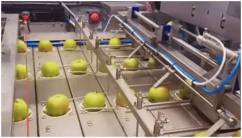 果蔬自动加工生产线 顺应饮品市场消费趋势的创新印染加工技术