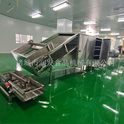 专业制造，全程服务——诸城润发食品机械为您打造高效荷叶茶成套加工设备