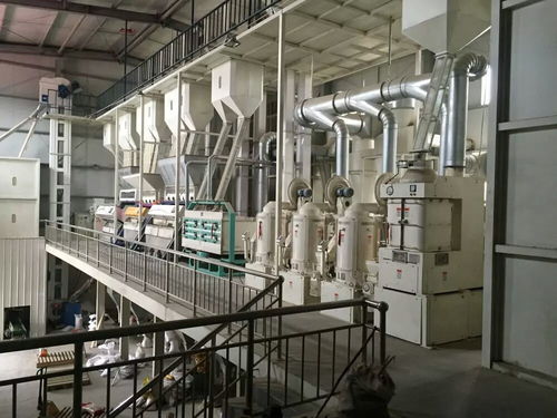 先进成套玉米加工设备 驱动玉米食品多元化与纺纱加工的革新引擎