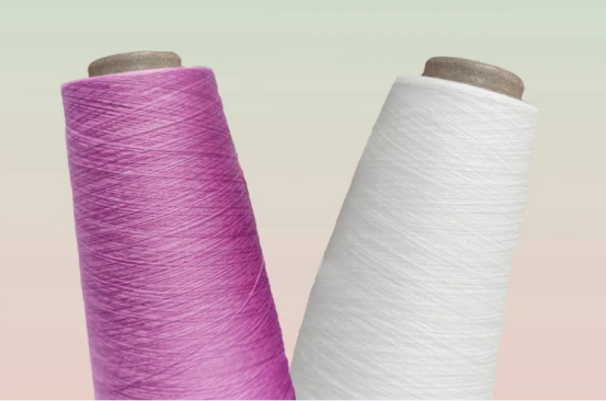 绿色转型与智能制造并行，新闻中心探访现代印染加工新图景