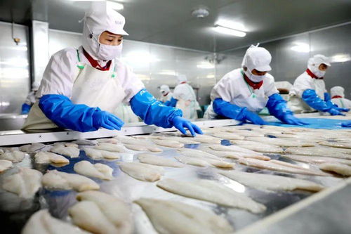 大连海关十项措施精准发力，为水产印染加工行业减负增效注入新动能